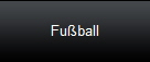 Fu�ball